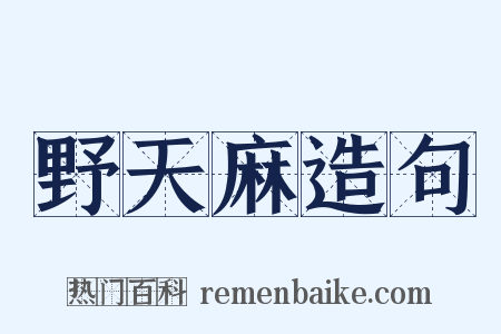 野天麻造句是什么意思的图片